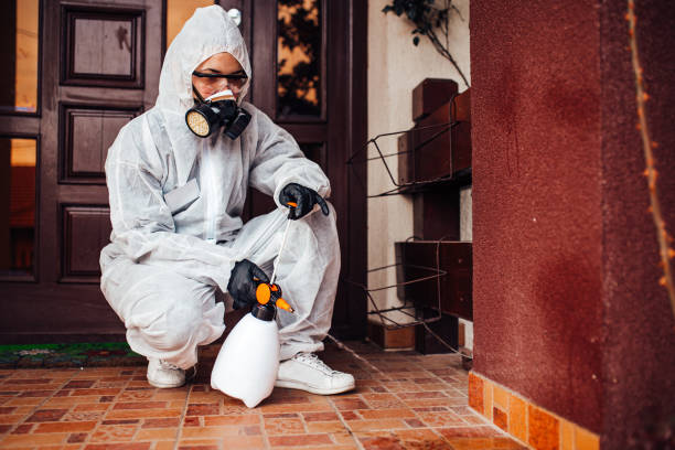 Reliable Wasp Removal contractor in Folsom, NJ by Show Me Pest Control